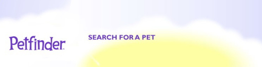 Find us on PetFinder