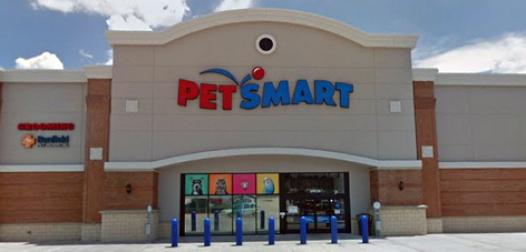 Adoption event photo